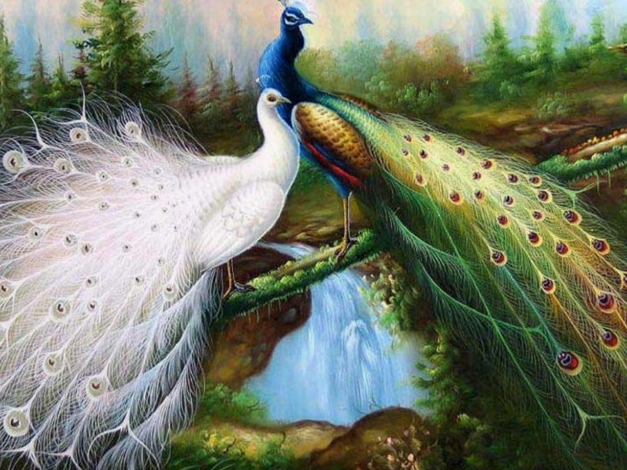 Top 100 Most Beautiful And Colorful Pictures Of Peacock Hd Images Free