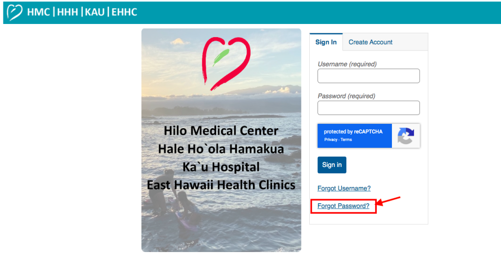 Hilo Medical Center Patient Portal