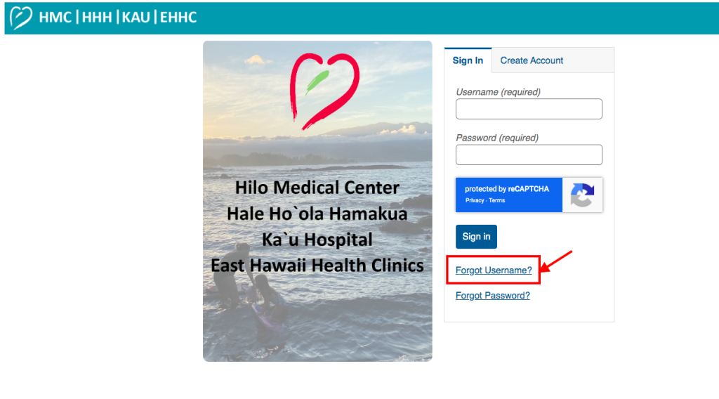 Hilo Medical Center Patient Portal