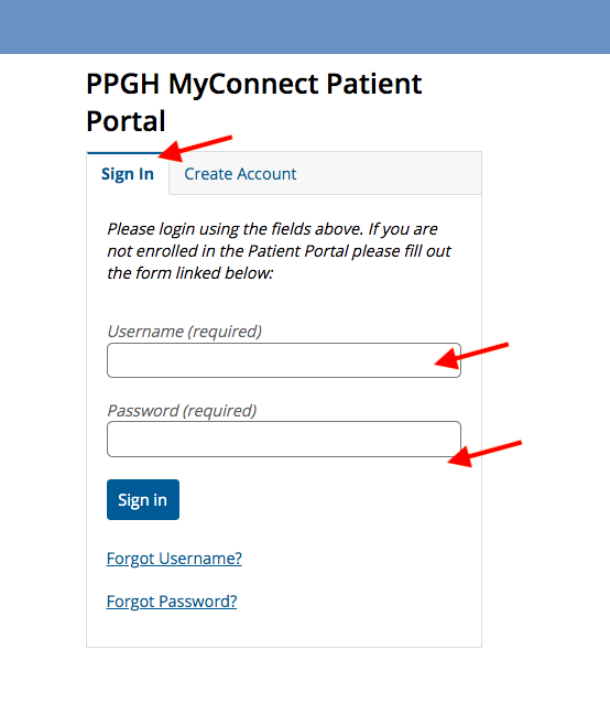 Palo Pinto General Hospital Patient Portal
