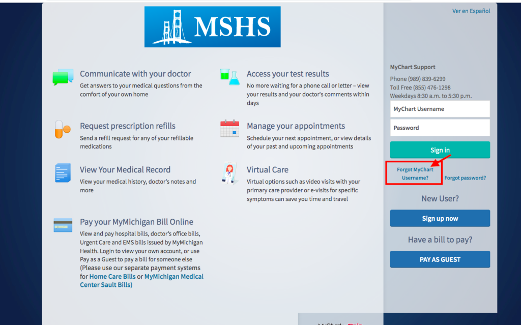 Mackinac Straits Hospital And Health Center Patient Portal