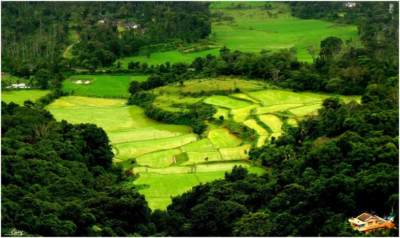 coorg best honemoon places in India in Karnatka