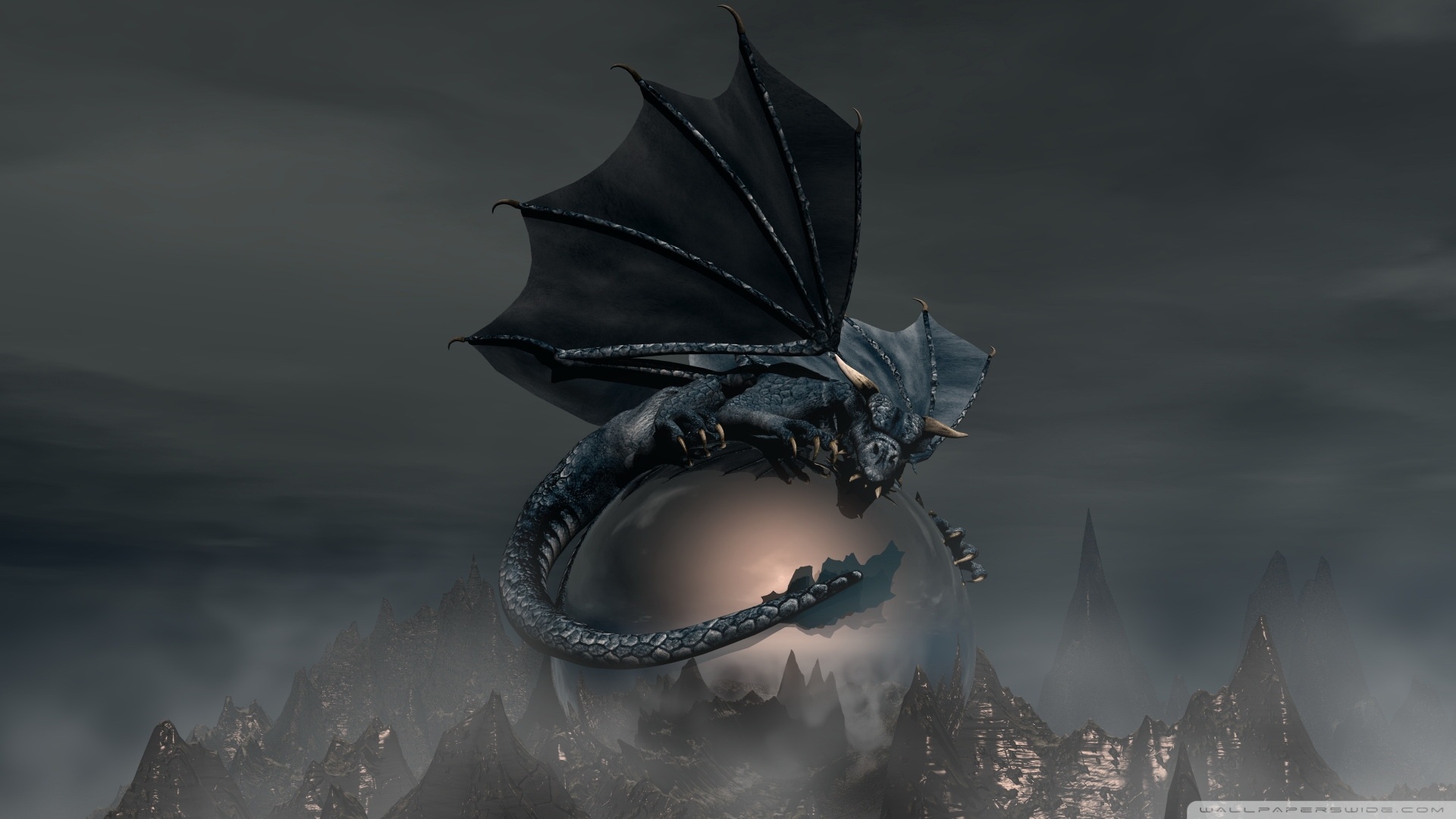 Best look-Black-Dragon