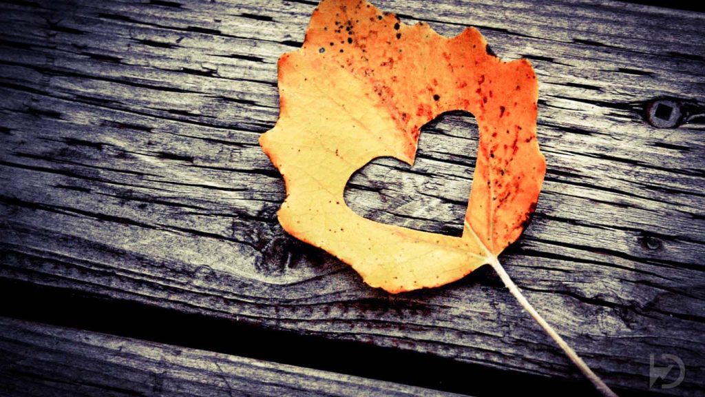 Top 100 HD Love Wallpapers (High Quality) - Youme And Trends
