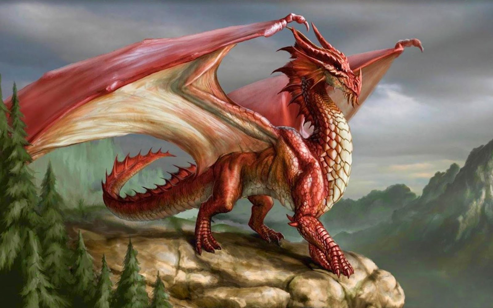 Red-European-Dragon