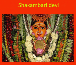 jai maa shakunbhari devi 