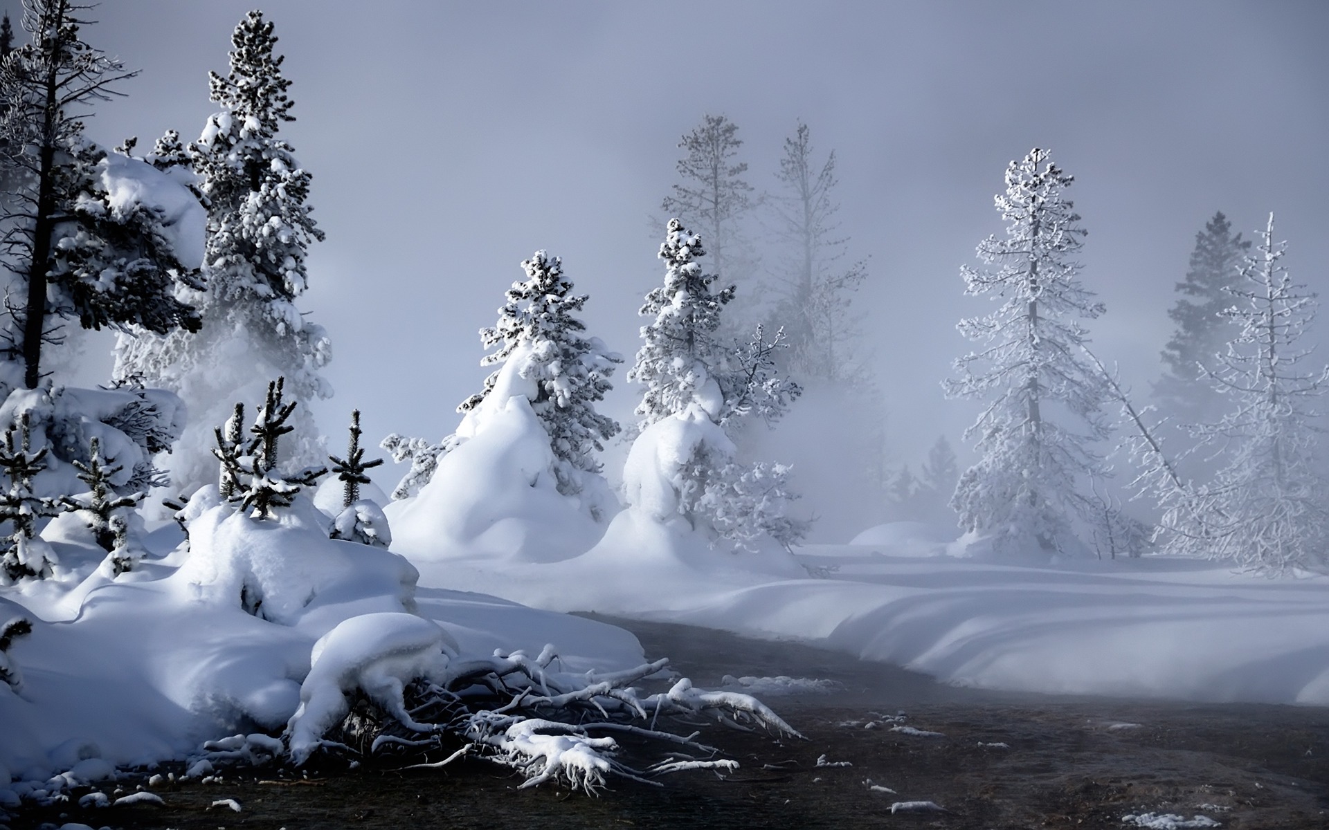 Winter Nature HD Wallpaper For Iphone