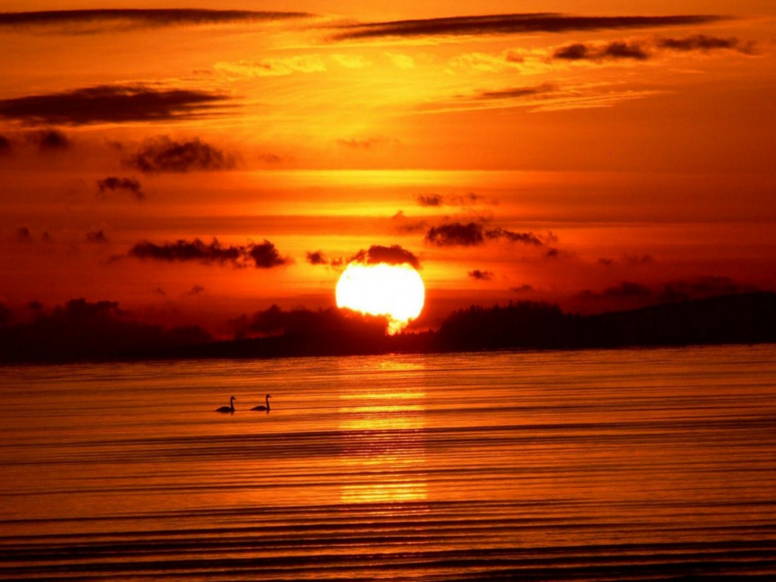 Sunrise HD Wallpaper For Android