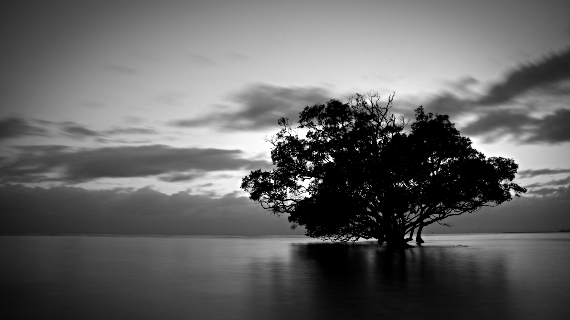Black And White Nature HD Wallpaper For Mac