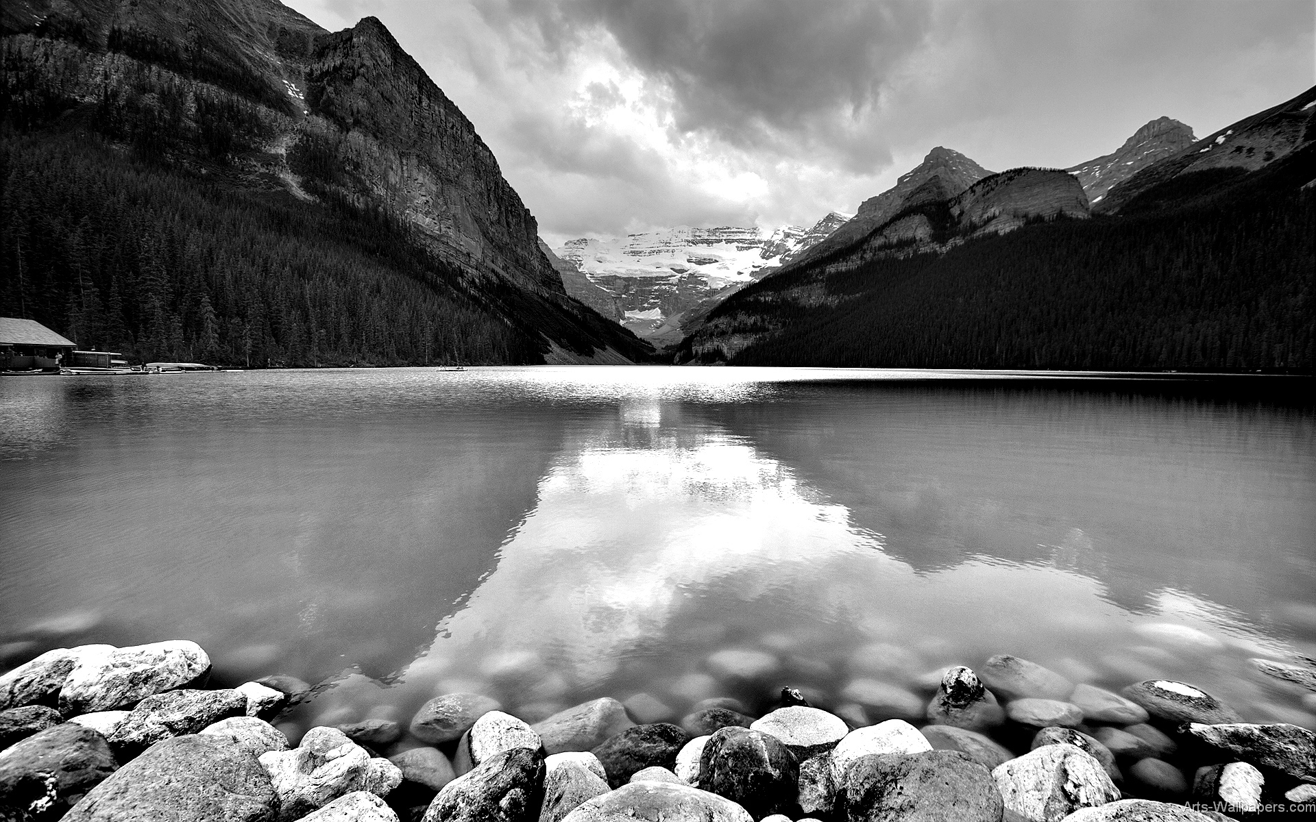 Black And White Nature HD Wallpaper For Widescreen