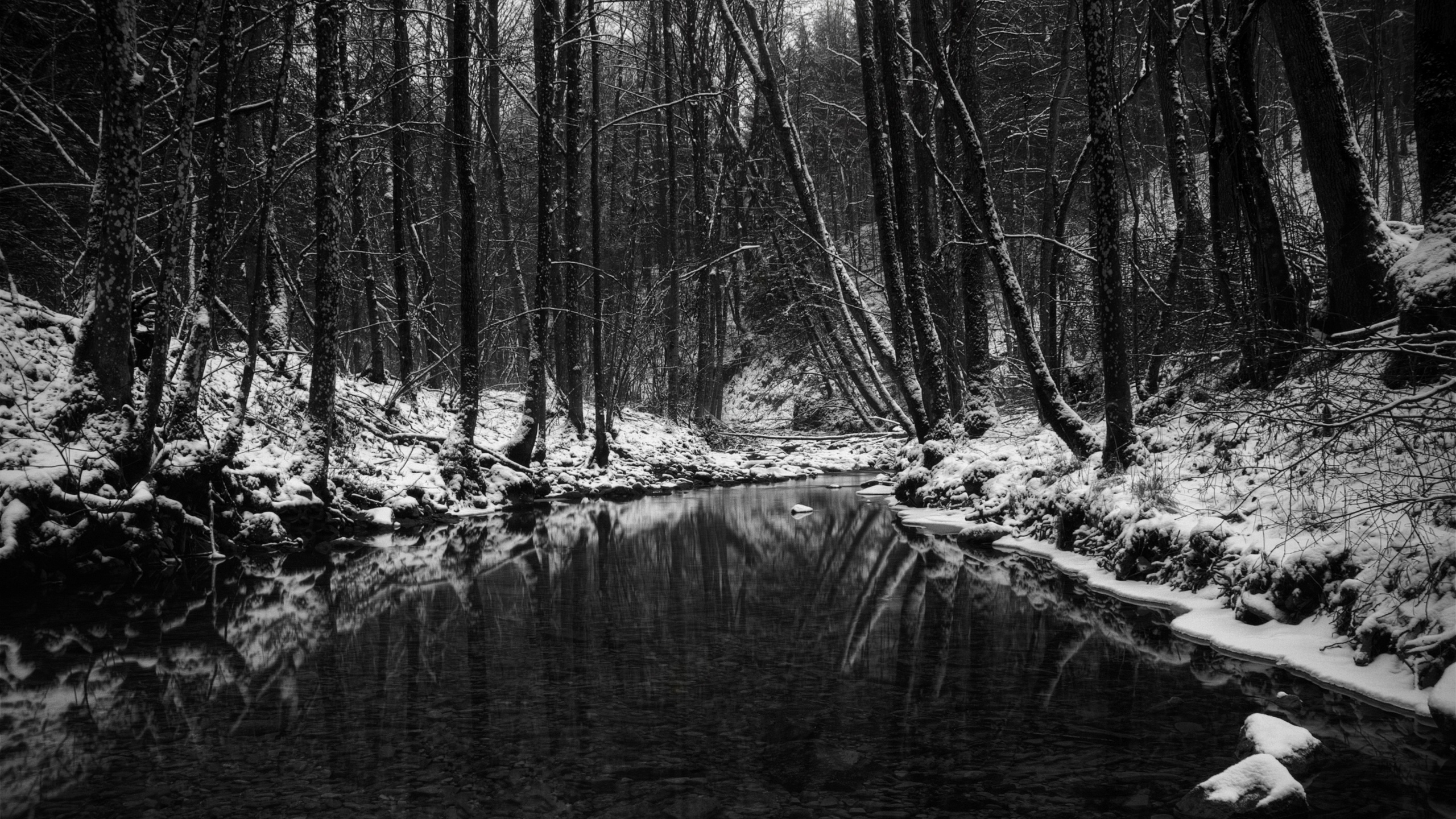 Black And White Nature HD Wallpaper For Tab