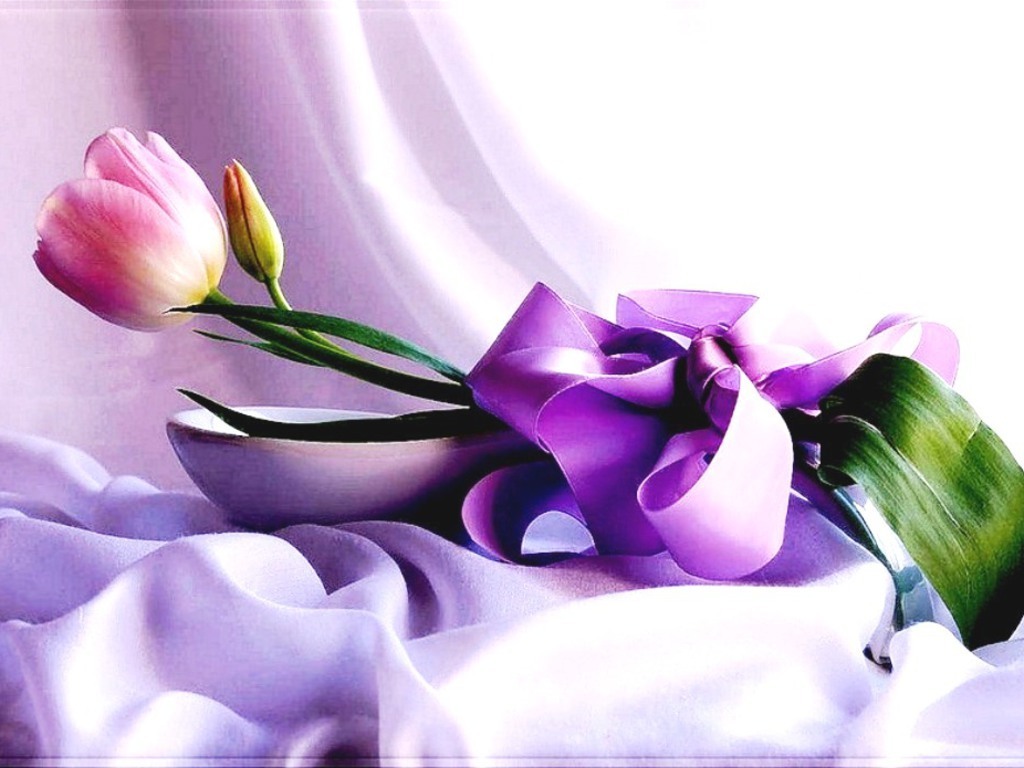 purple flowers beautiful images 