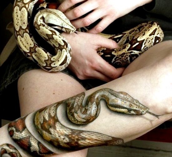 Snake Calf Tattoo Design For Men