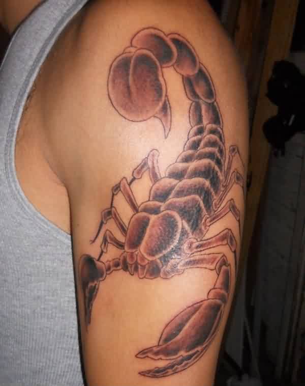 Scorpion Arm Tattoo Designs For Men