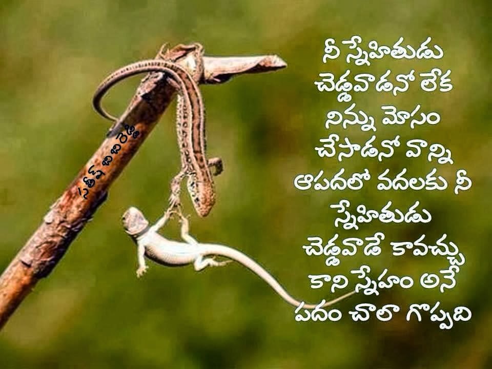 quotations on friendship in telugu