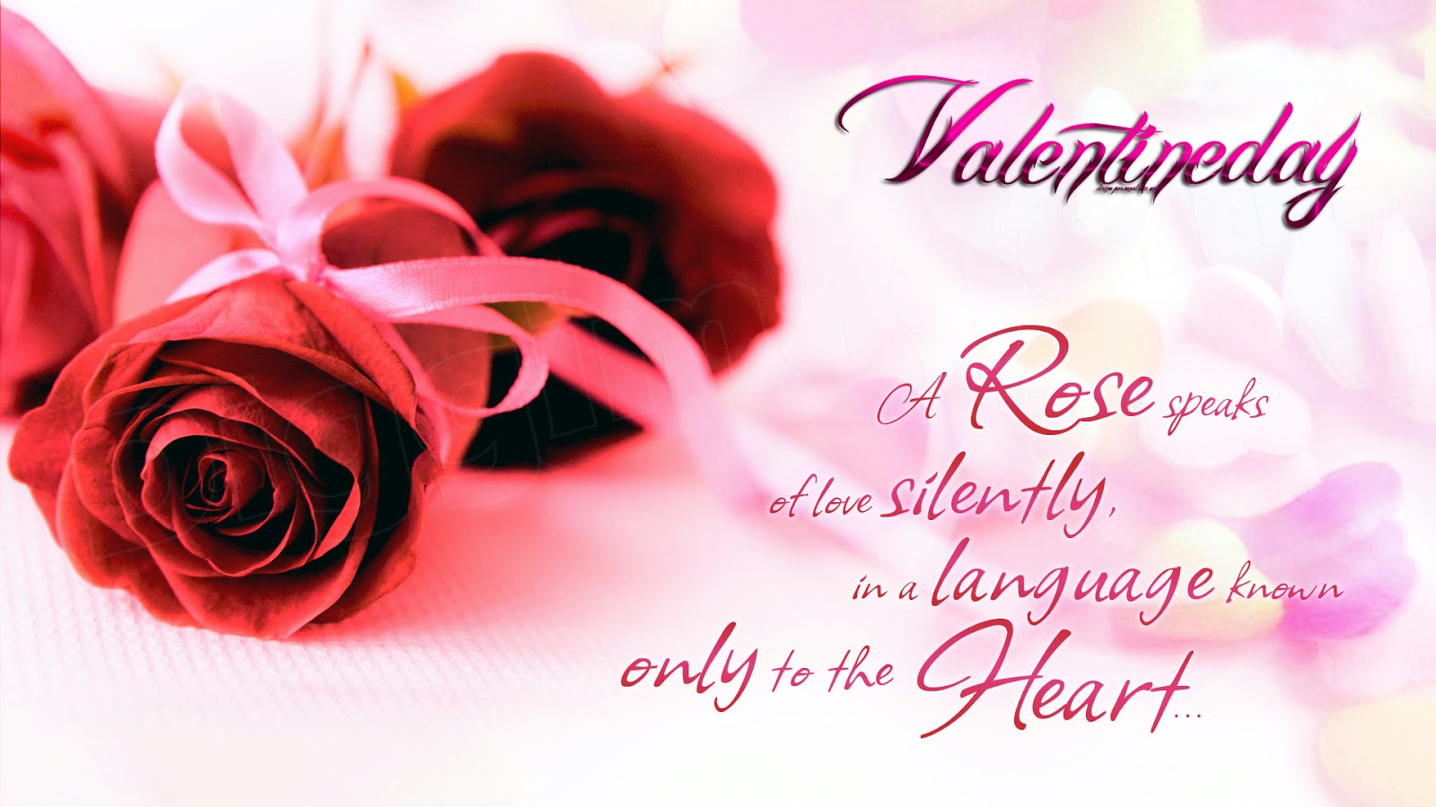 Happy Rose Day Wishes Wallpapers Greetings Messages Quotes Love Shayari