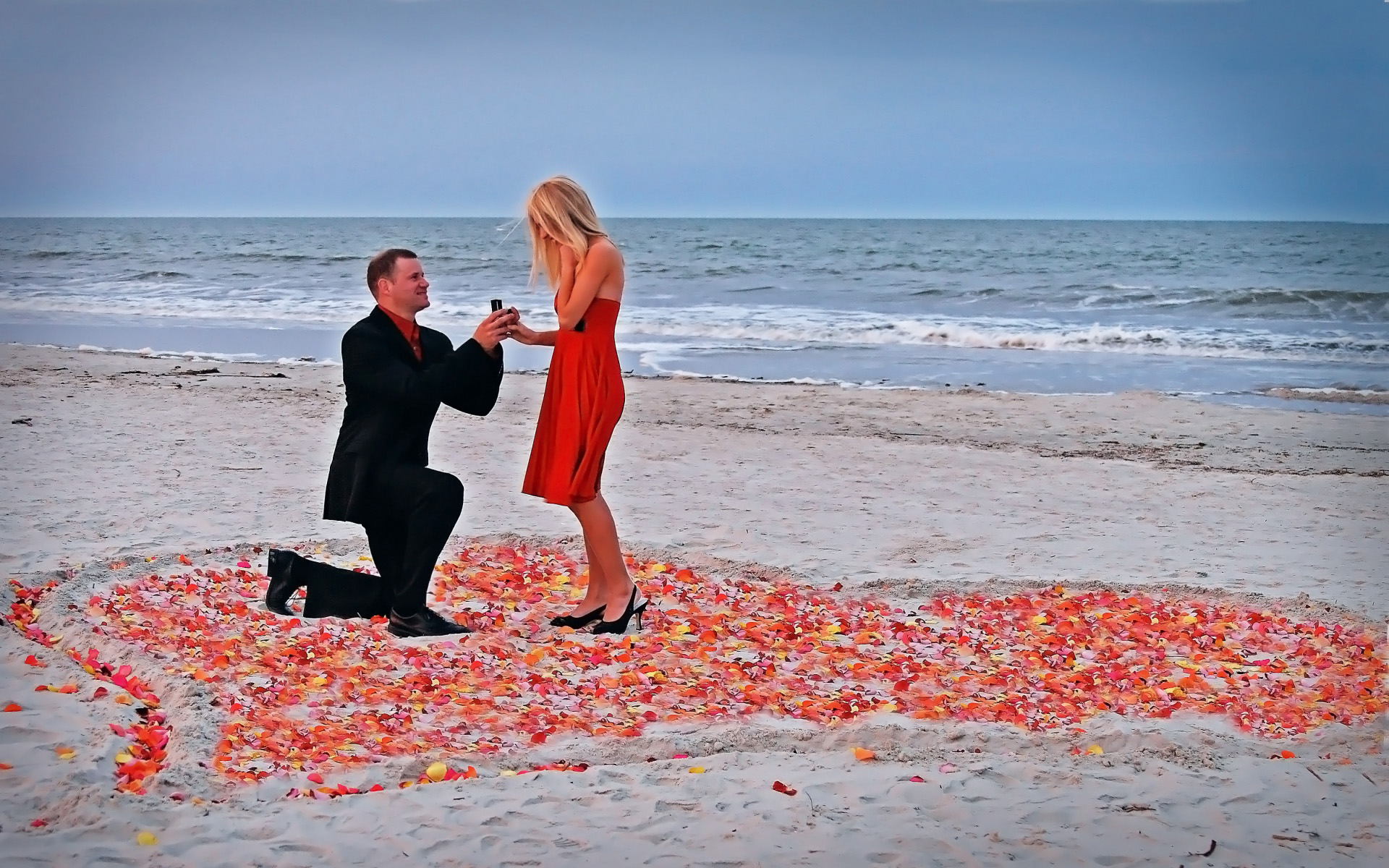 Happy Propose Day Whats App Status Wallpapers HD Free Download
