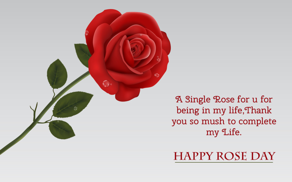 Happy Rose  Day  Wishes Wallpapers Greetings Messages Quotes  