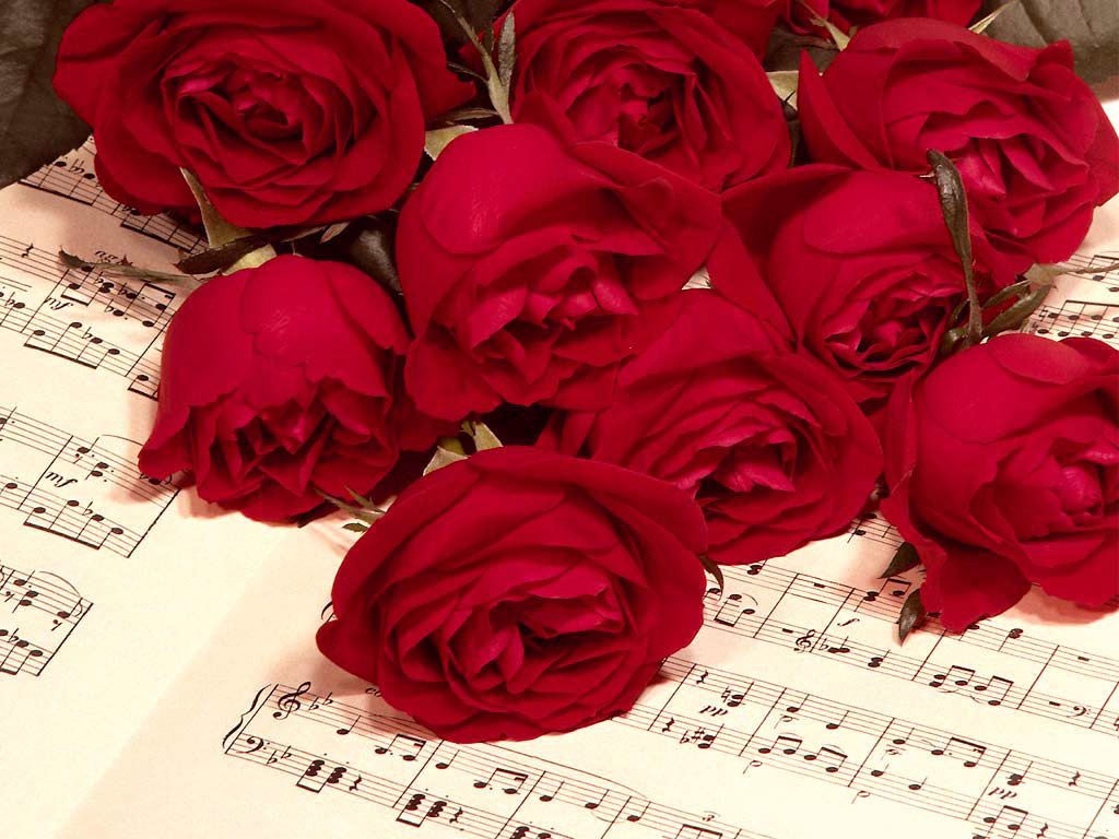 Happy Rose Day Wishes Wallpapers Greetings Messages Quotes Love Shayari