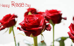 rose day images for windows 