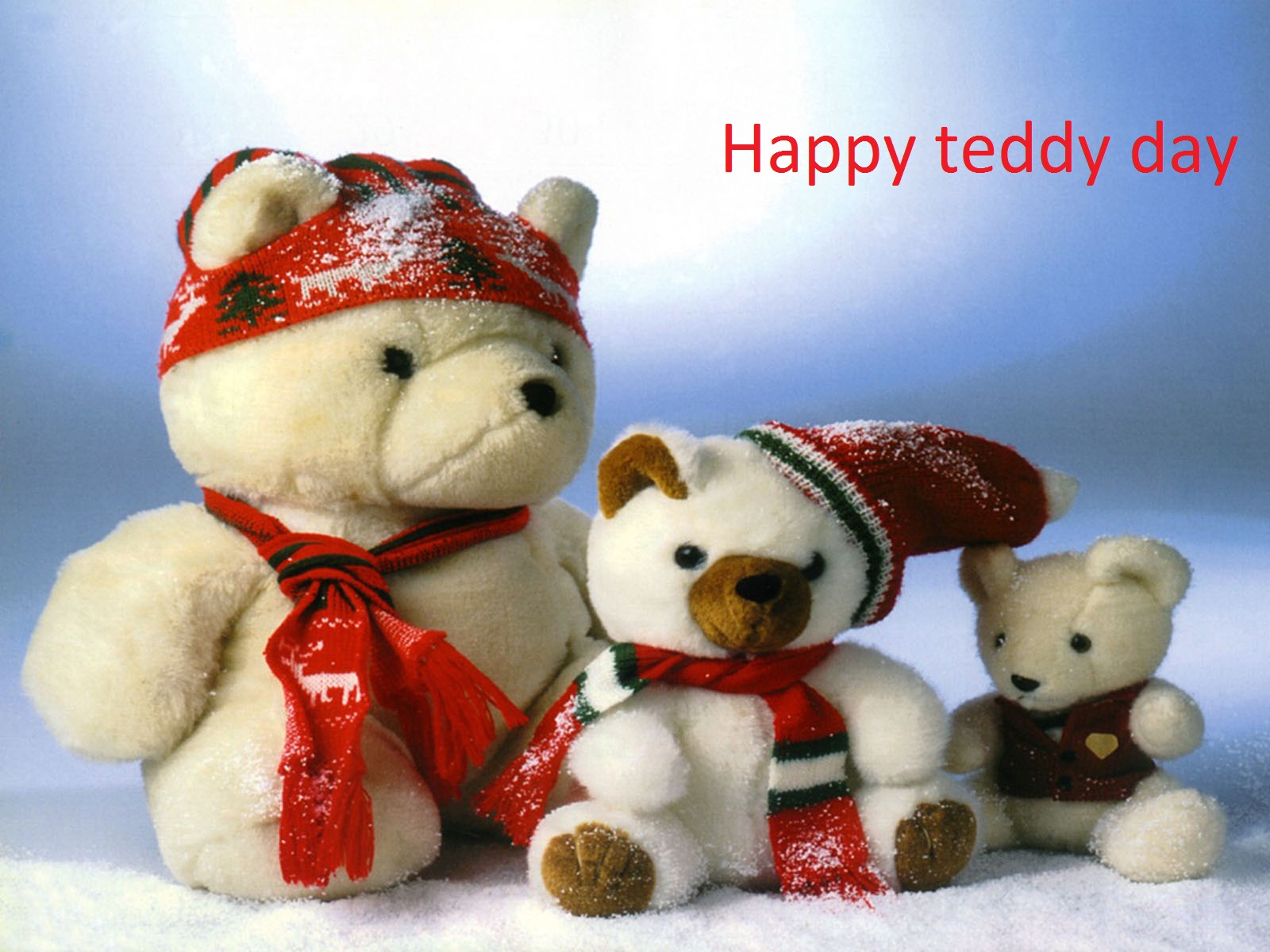 happy teddy bear day hd wallpapers free download 