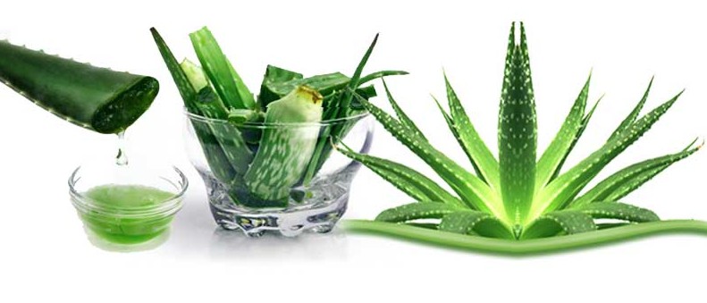 Aloe Vera Home Remedies To Treat Dandruff How To Stop Dandruff Through Home Remedies remedies to get rid off from dandruff.