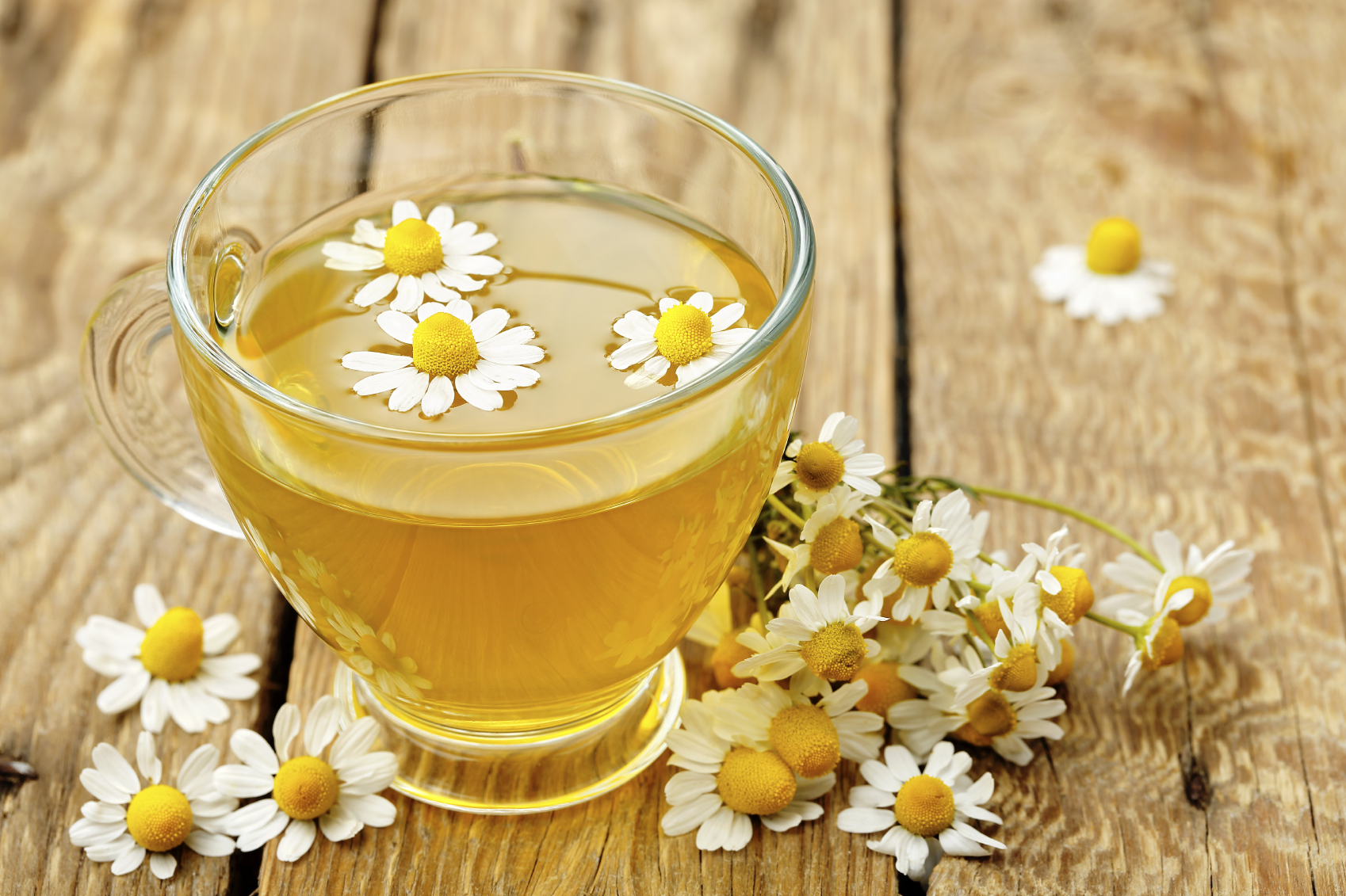 chamomile tea benefits For Hair and Health