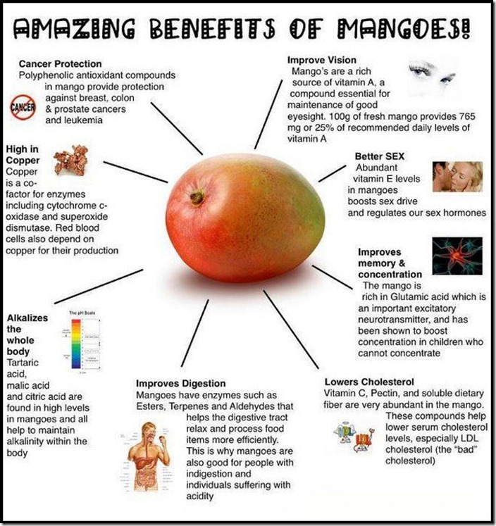 uses of mango fruit 