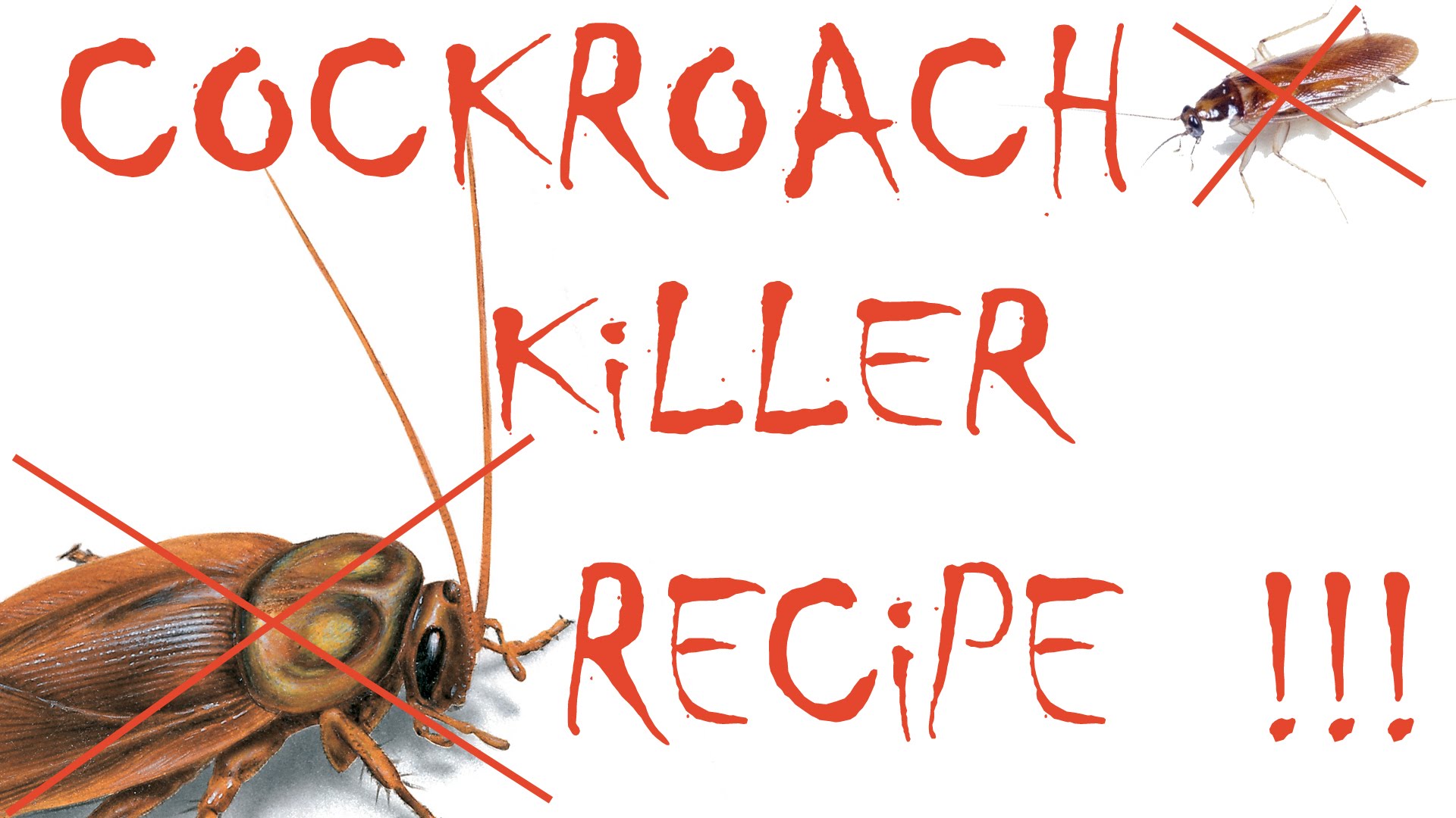 how to get rid of cockroaches with boric acid 