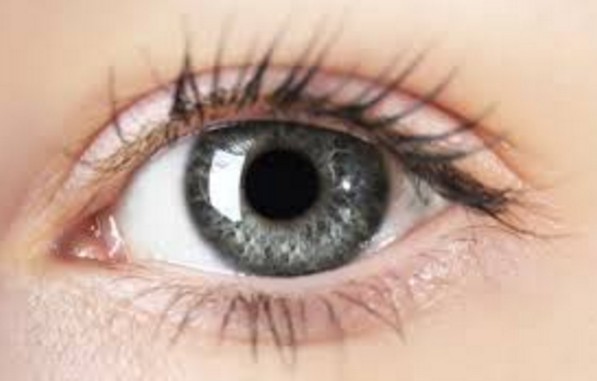Coriander Seeds For Eye Care