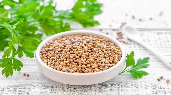 coriander seeds health benefits