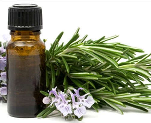 Eucalyptus Oil For Aromatherapy