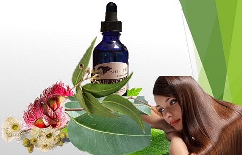 Eucalyptus Oil Improved Hair Health