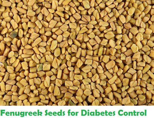 Fenugreek Seeds To Control Diabetes