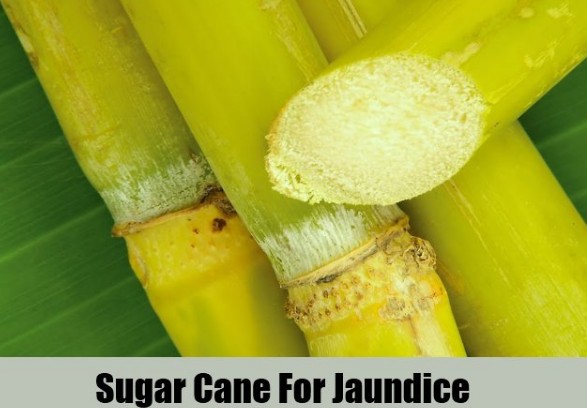 Sugarcane Juice Aids In Liver Functioning