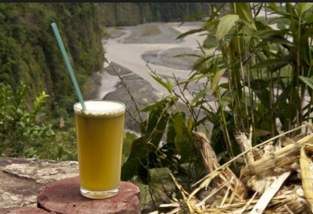 Sugarcane Juice Prevents DNA Damage
