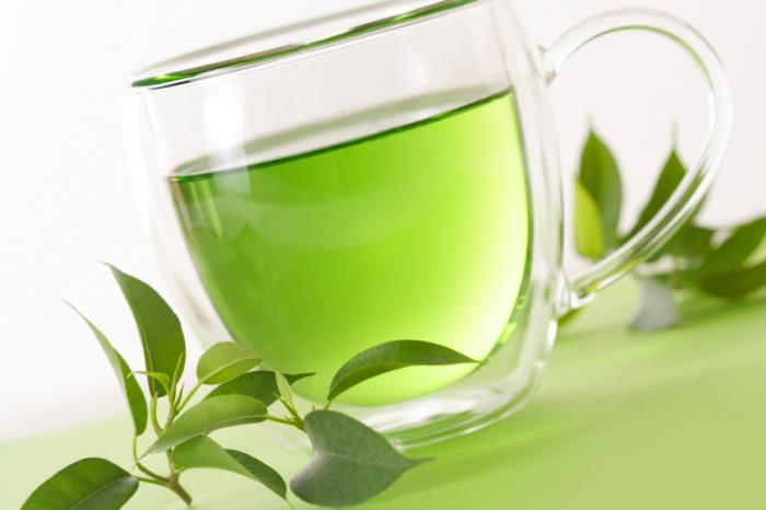 green tea helps in reducing weight faster