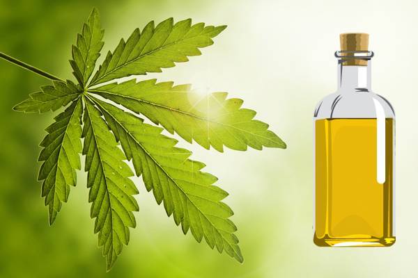 neem tree oil benefits