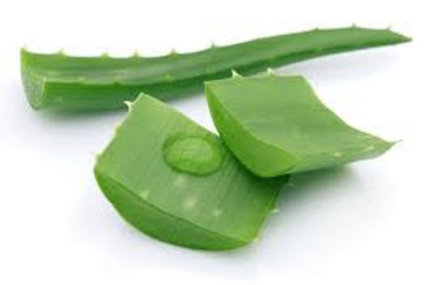  How To Get Rid Of Dark Elbow At Home by aloe vera