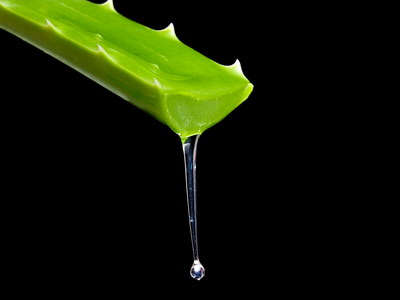 aloe vera benefits 