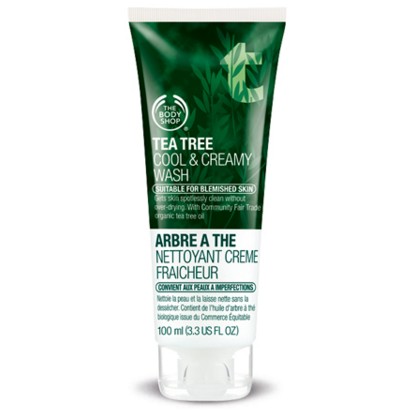  Body shop face wash for oily skin