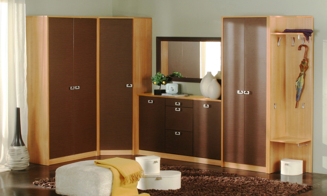 Simple Wardrobes Designs For Indian Bedrooms