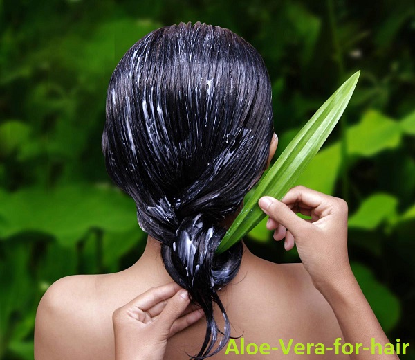 aloe vera for frizzy hairs