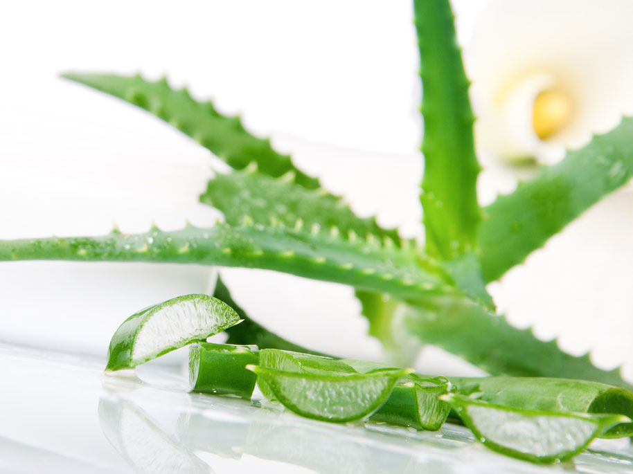 benefits of aloe vera 