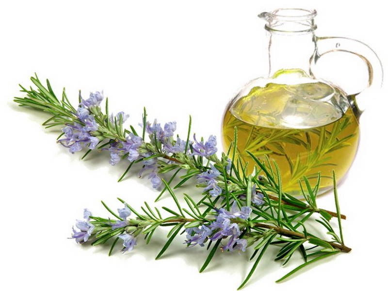 best essential oils for hair growth 
