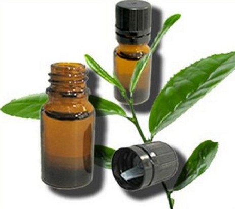  Tea Tree Oil To Cure Pimples On Forehead
