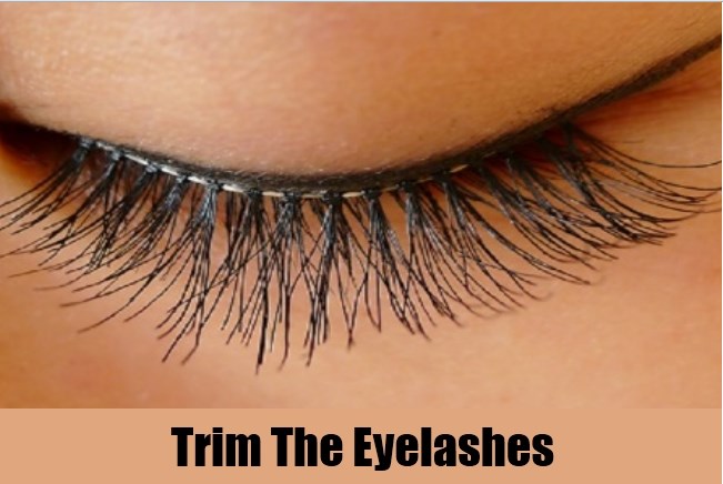 trim the eye lashes