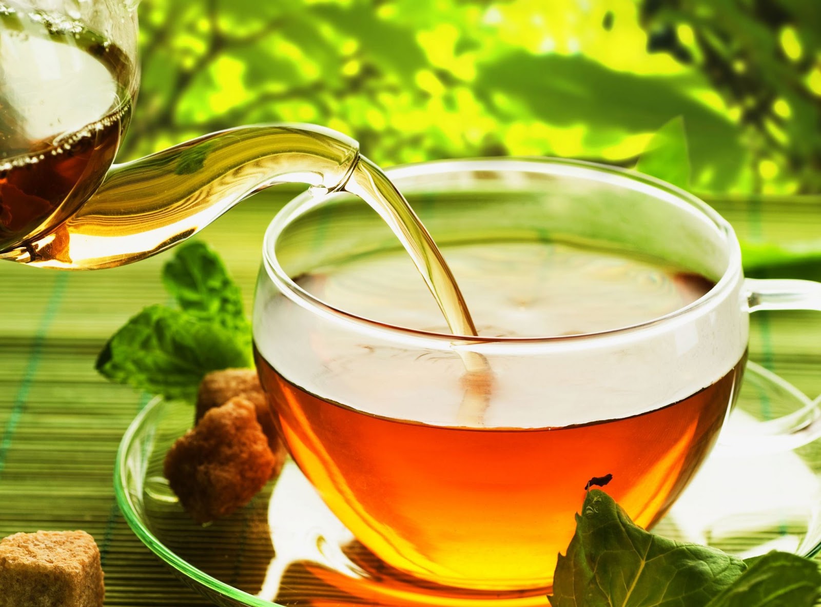 green tea health benefits 