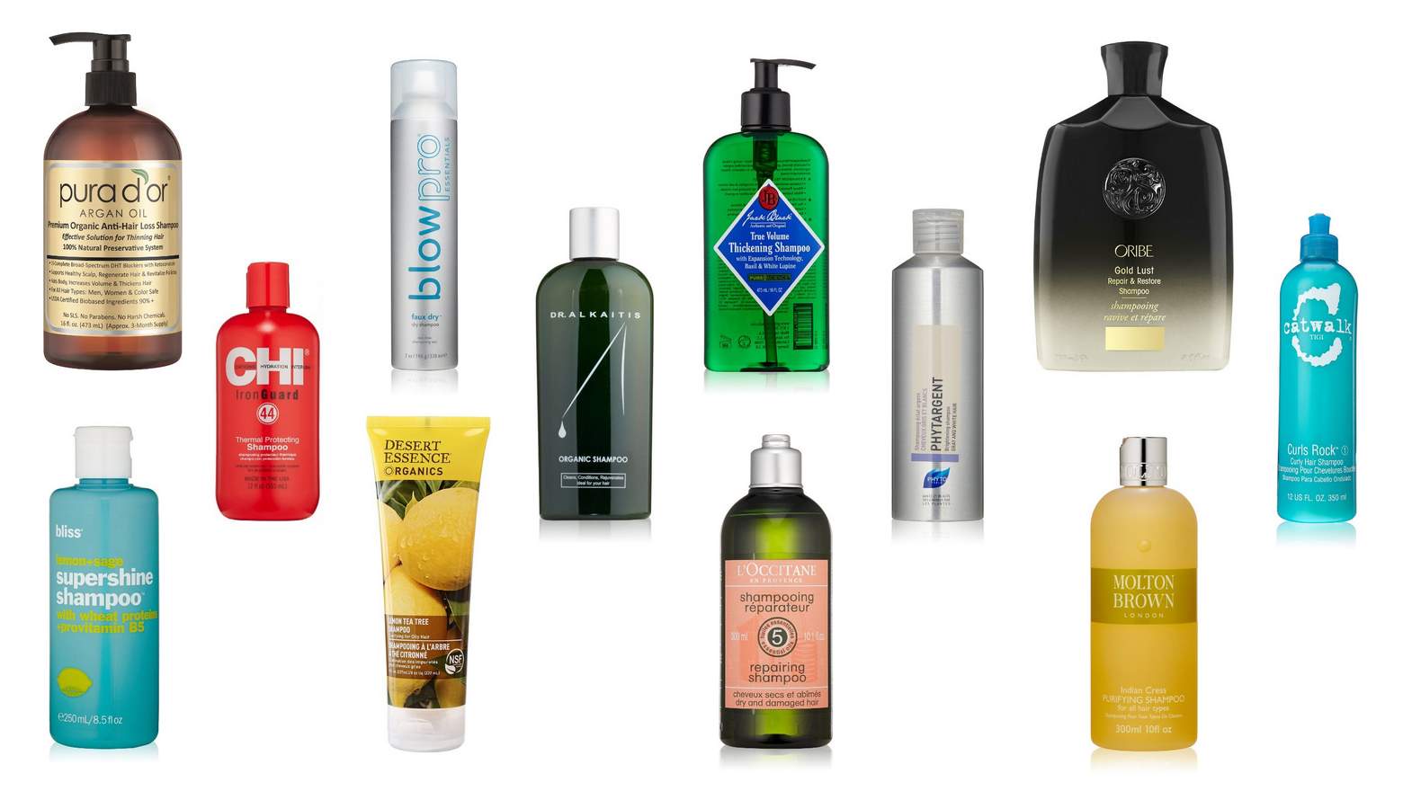 best shampoo brands 