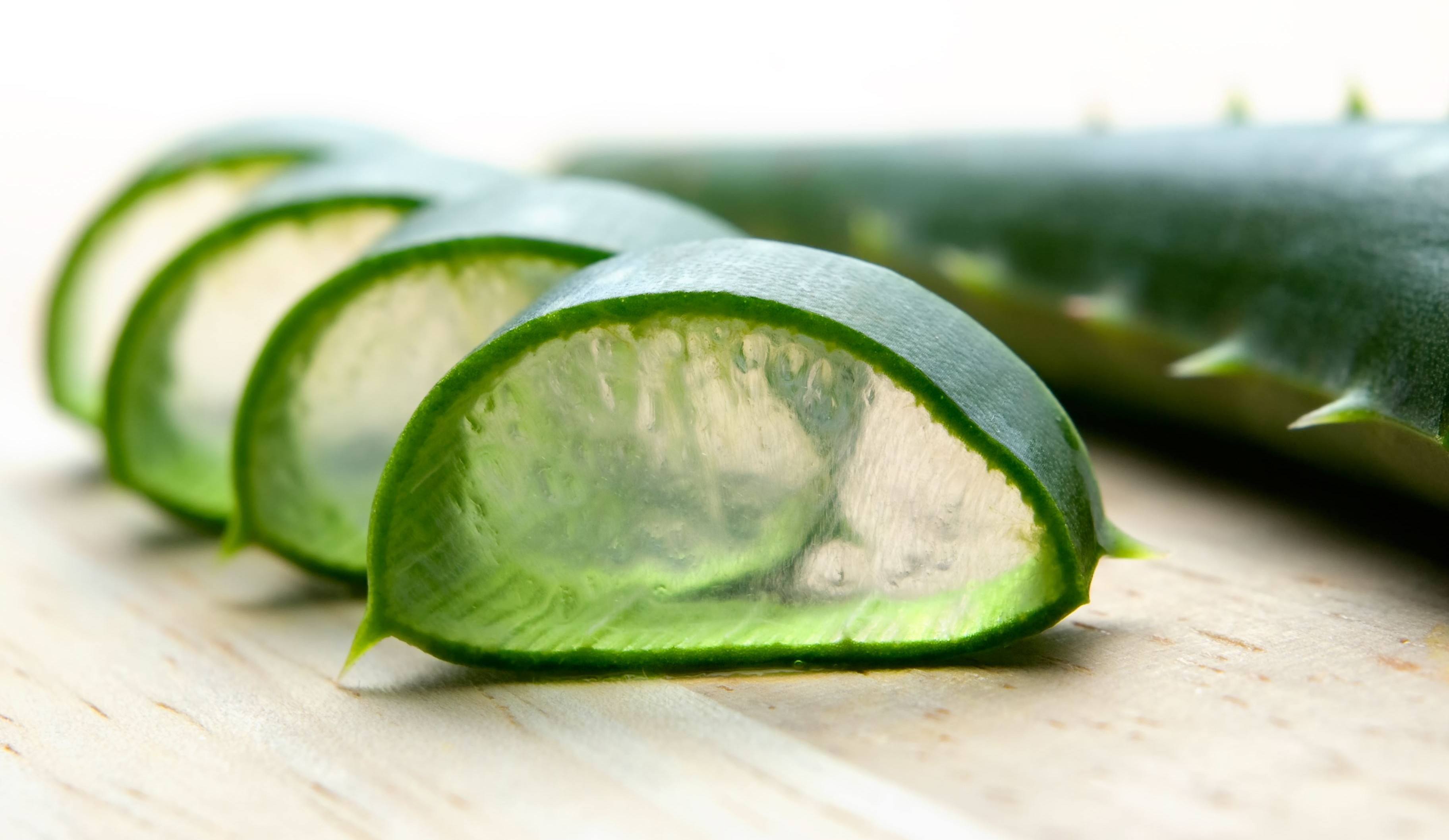 aloe vera for dandruff